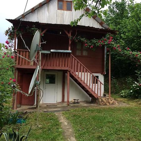 Villa Tengiz Chakvistavi Bagian luar foto