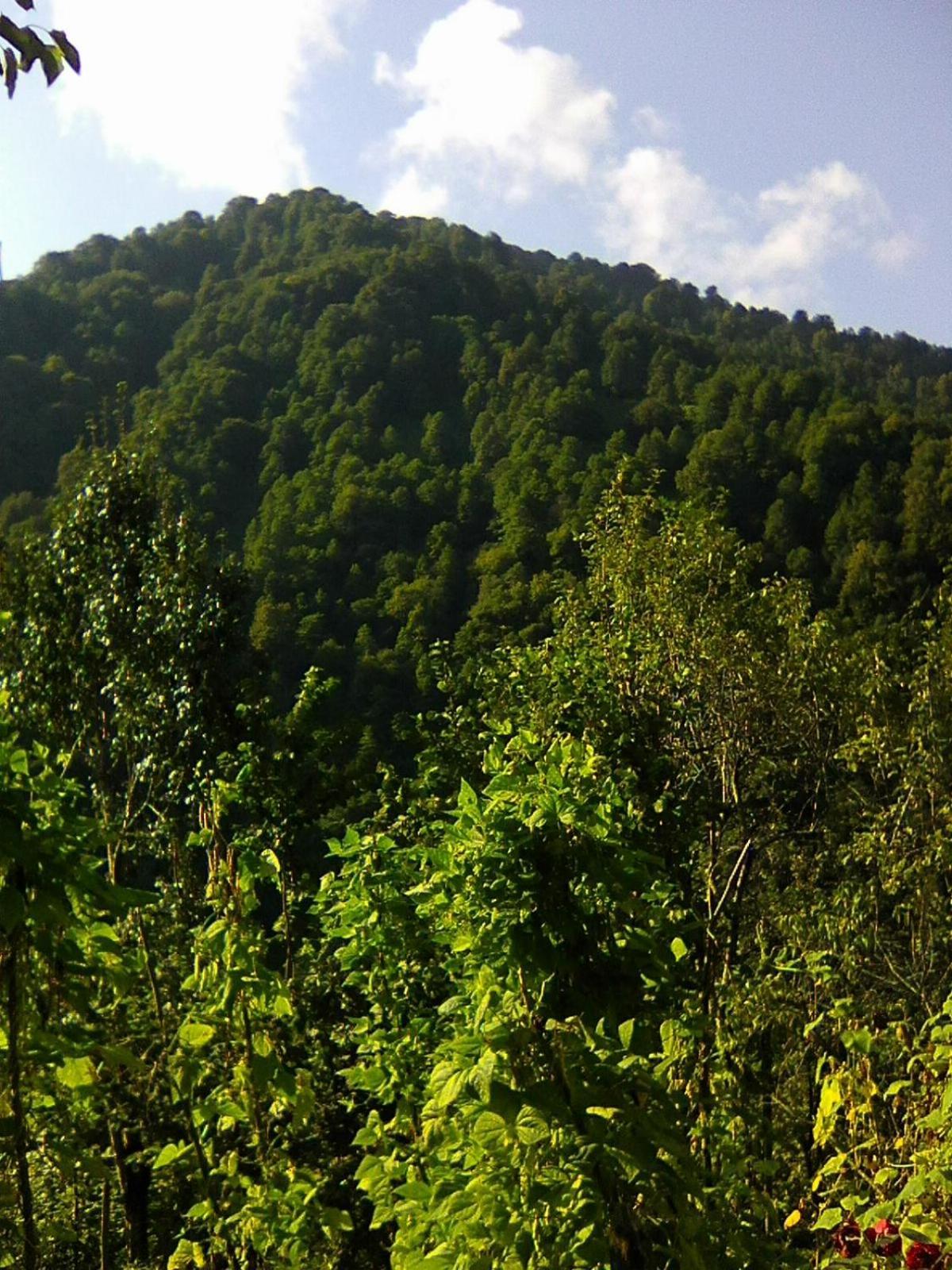 Villa Tengiz Chakvistavi Bagian luar foto