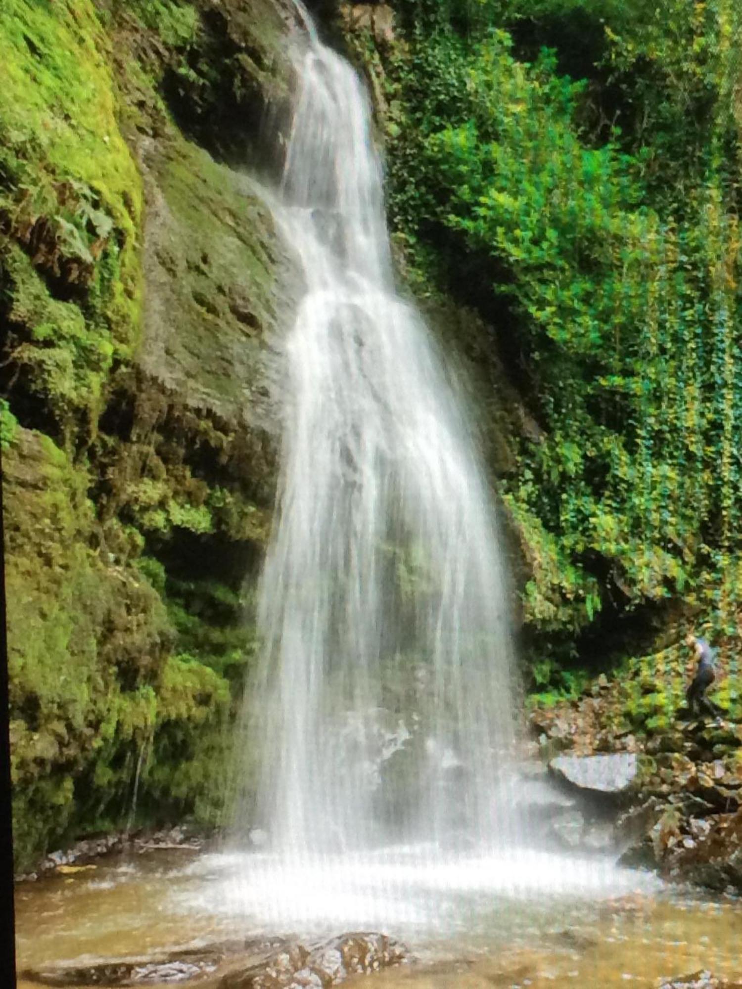 Villa Tengiz Chakvistavi Bagian luar foto