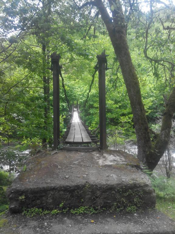 Villa Tengiz Chakvistavi Bagian luar foto